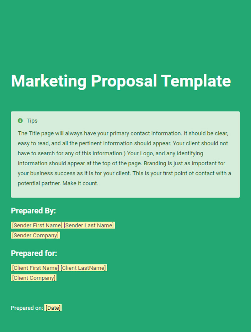 Marketing Proposal Template Example